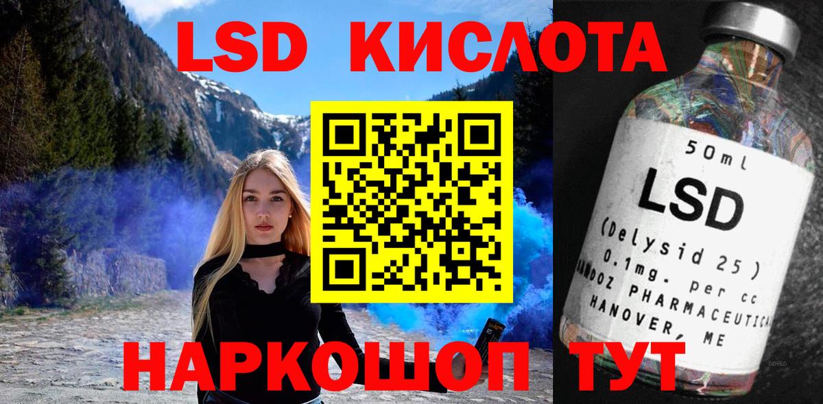 Альфа ПВП Балтийск