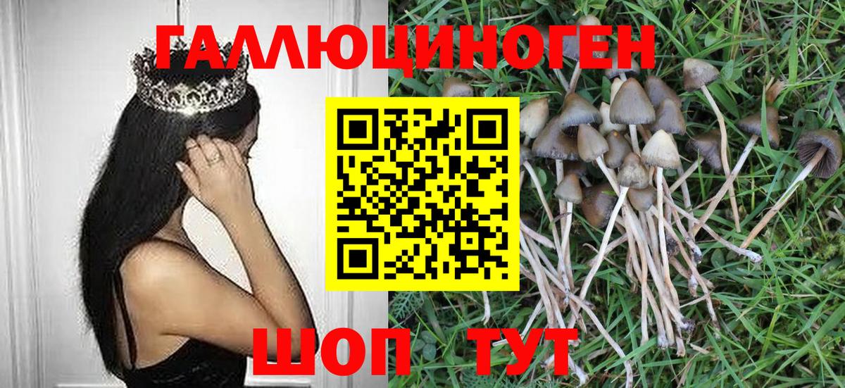 Галлюциногенные грибы мухоморы  Балтийск 