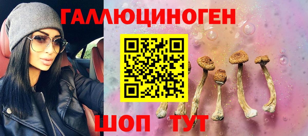 Псилоцибиновые грибы прущие грибы Балтийск
