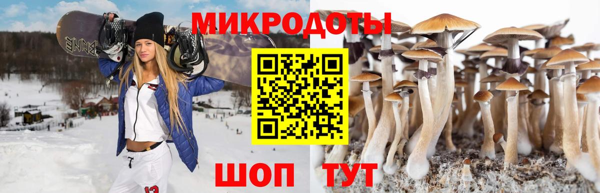 Псилоцибиновые грибы ЛСД  Вход с VPN  Галлюциногенные грибы ЛСД  Балтийск 
