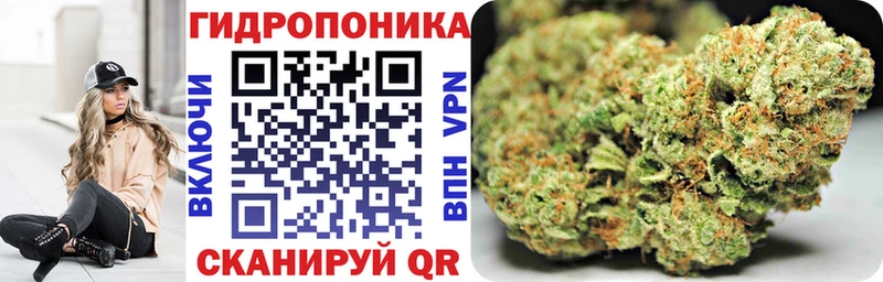 Шишки марихуана гибрид  Балтийск 
